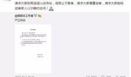 宁南最新事件爆料视频播放,真相渐明，疑云散去